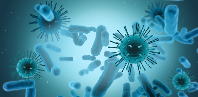 工業(yè)化臨床級(jí)的載體生產(chǎn)平臺(tái) 