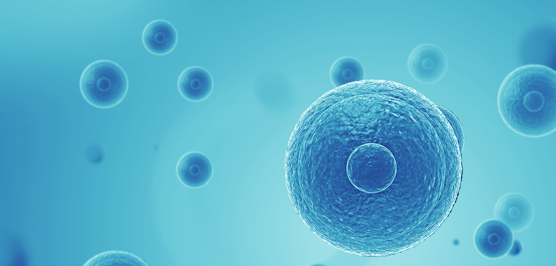 以患者需求為核心，驅(qū)動(dòng)細(xì)胞免疫治療創(chuàng)新，實(shí)現(xiàn)癌癥可控化并最終治愈。